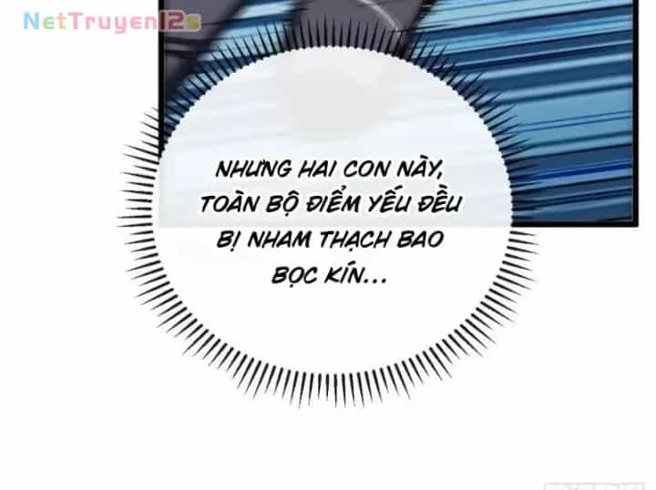 Mệnh Luân Chi Chủ! Khi Dị Biến Giáng Lâm Nhân Gian! - Chương 244 - ảnh 20