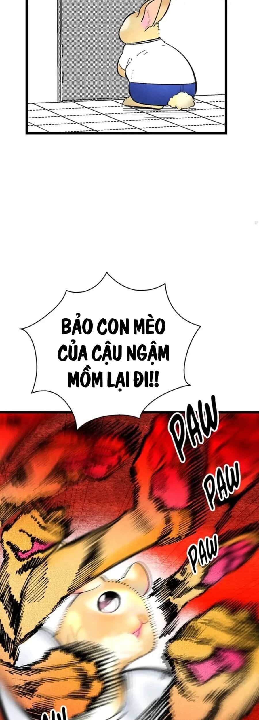 Mèo Con Của Skelly - Chương 11 - ảnh 37