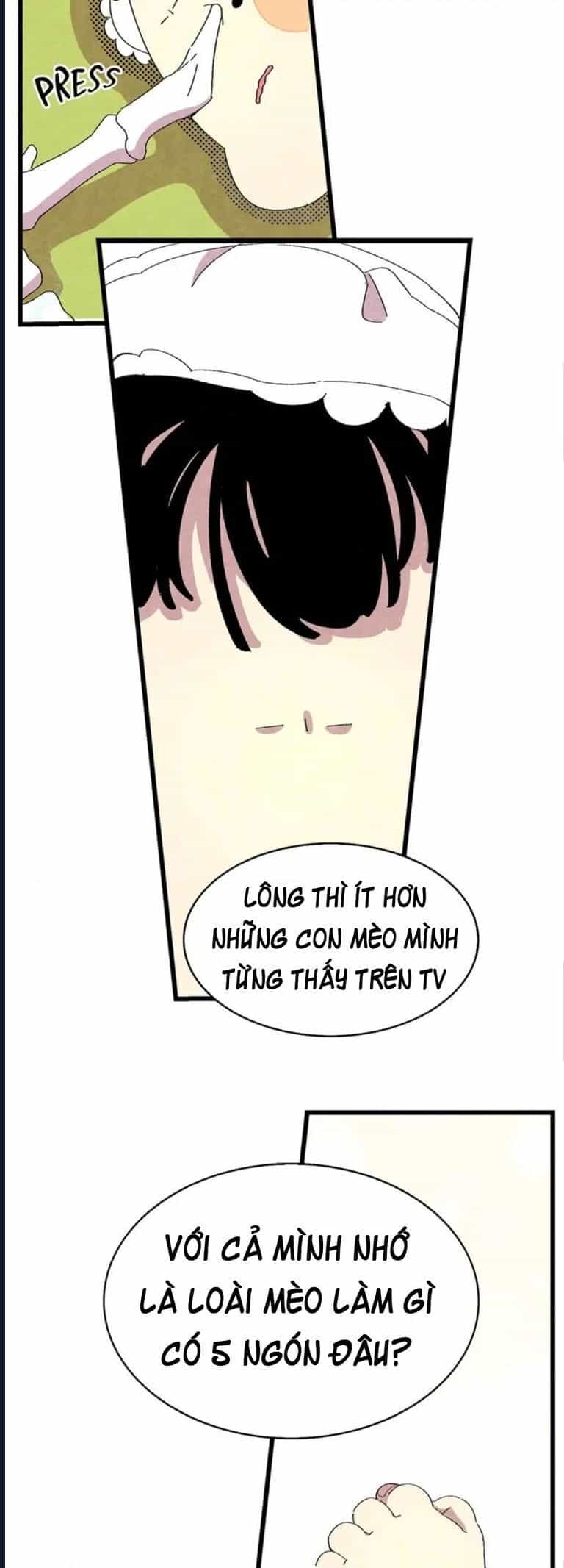 Mèo Con Của Skelly - Chương 2 - ảnh 2