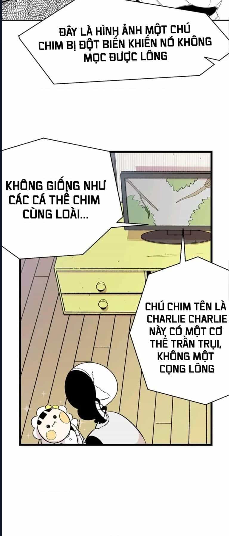 Mèo Con Của Skelly - Chương 3 - ảnh 3