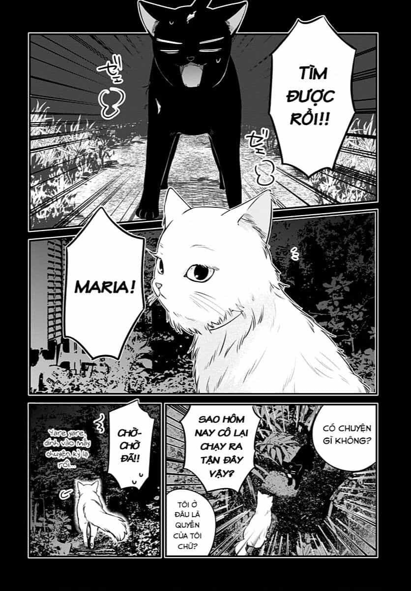 Mi-Chan Wa Kawaretai - Chuong 6 - ảnh 14
