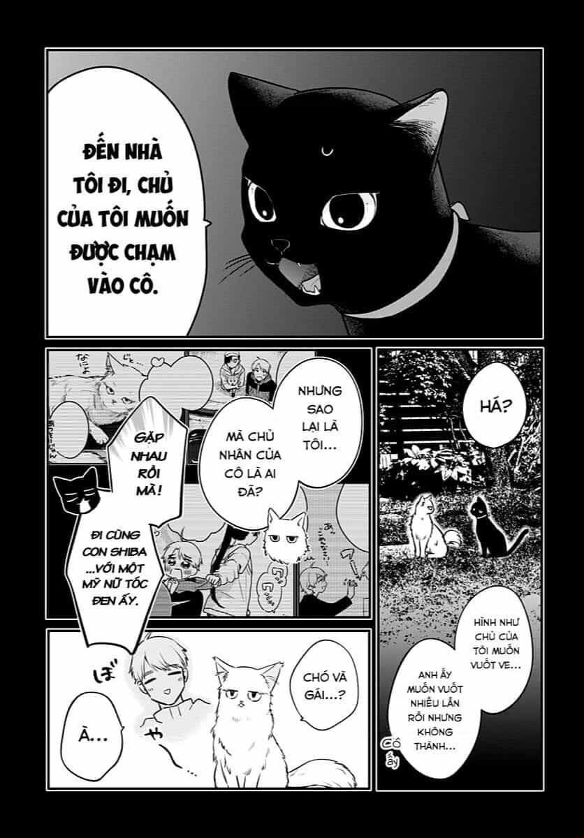 Mi-Chan Wa Kawaretai - Chuong 6 - ảnh 15