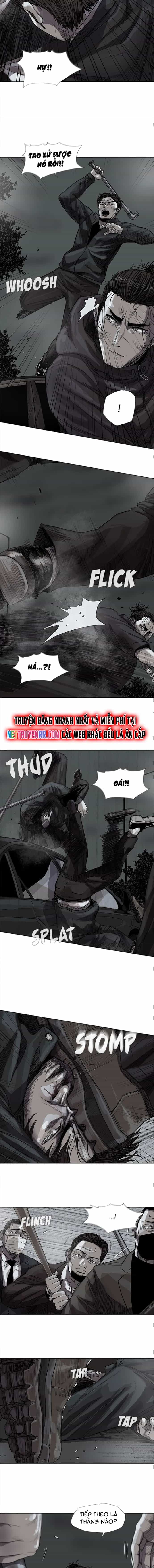 Miền Đất Xanh - Chương 30 - ảnh 3