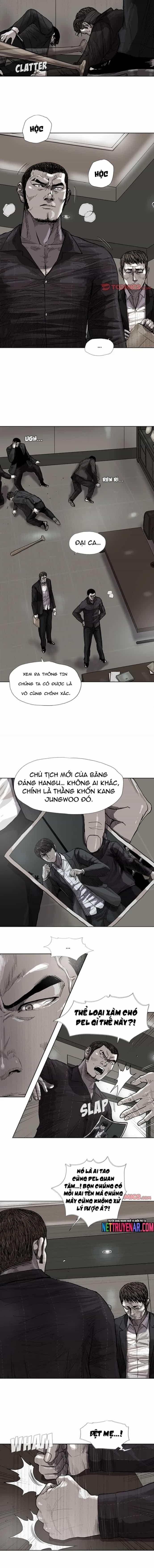 Miền Đất Xanh - Chương 34 - ảnh 7