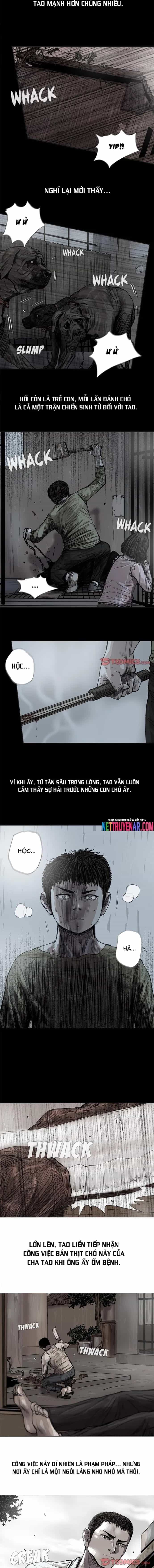 Miền Đất Xanh - Chương 43 - ảnh 3