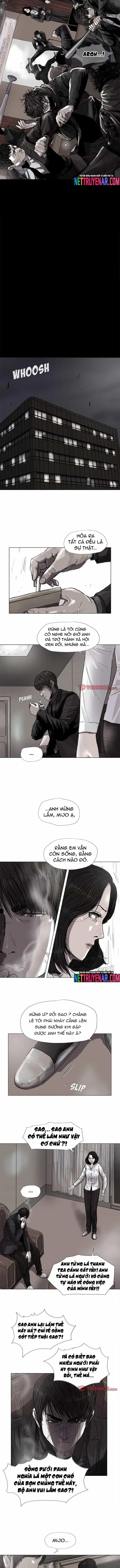 Miền Đất Xanh - Chương 56 - ảnh 2