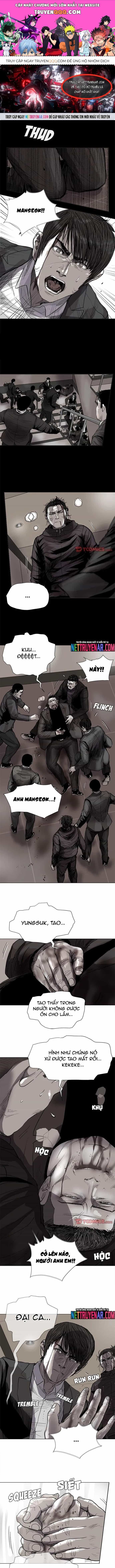Miền Đất Xanh - Chương 61 - ảnh 1
