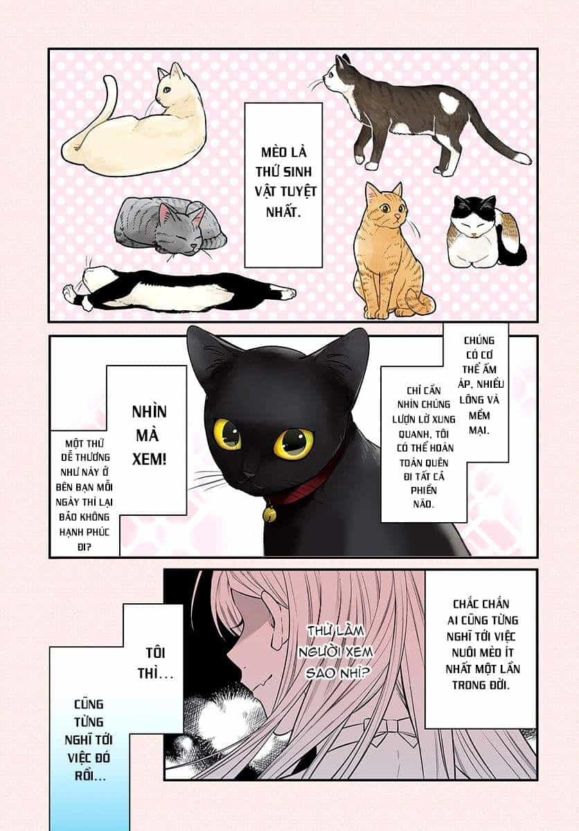 Mii-Chan Muốn Được Nhận Nuôi! - Chương 1 - ảnh 2