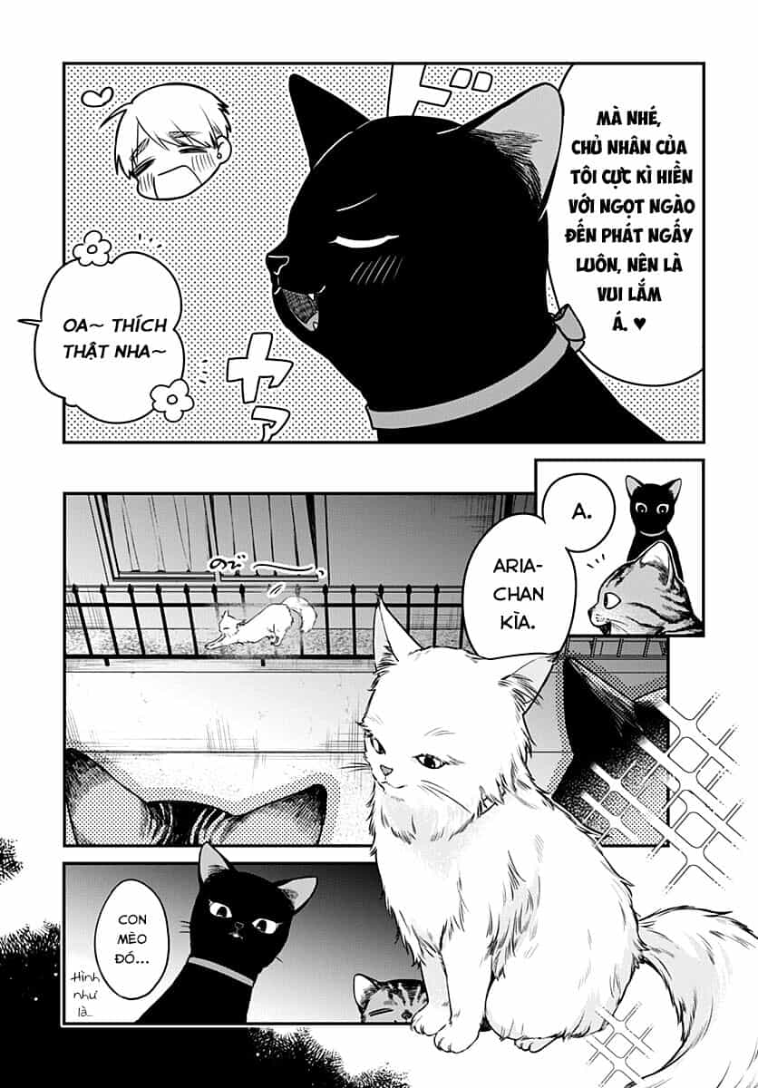 Mii-Chan Muốn Được Nhận Nuôi! - Chương 5 - ảnh 4