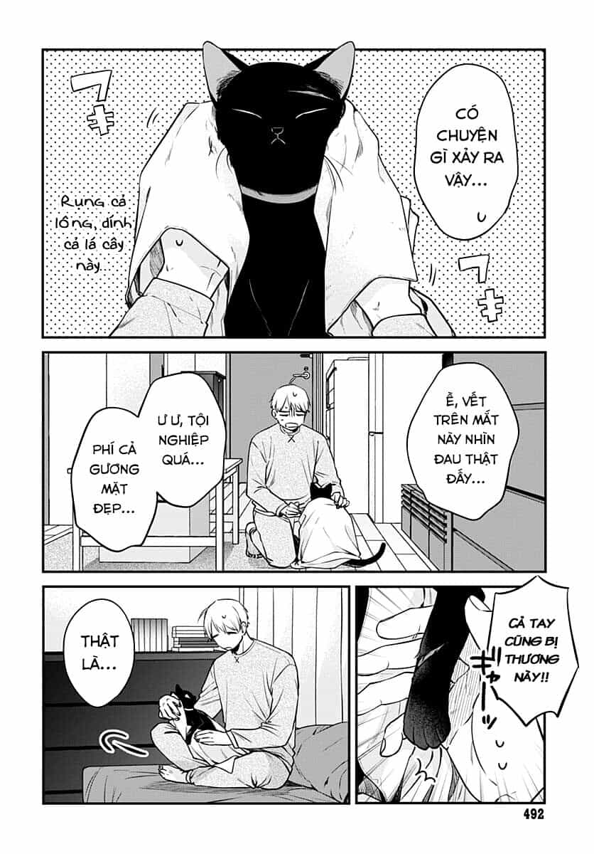 Mii-Chan Muốn Được Nhận Nuôi! - Chương 6 - ảnh 9
