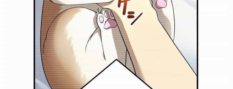 Mình Tao Là Siêu Việt Giả Mạnh Nhất! - Chương 20 - ảnh 476