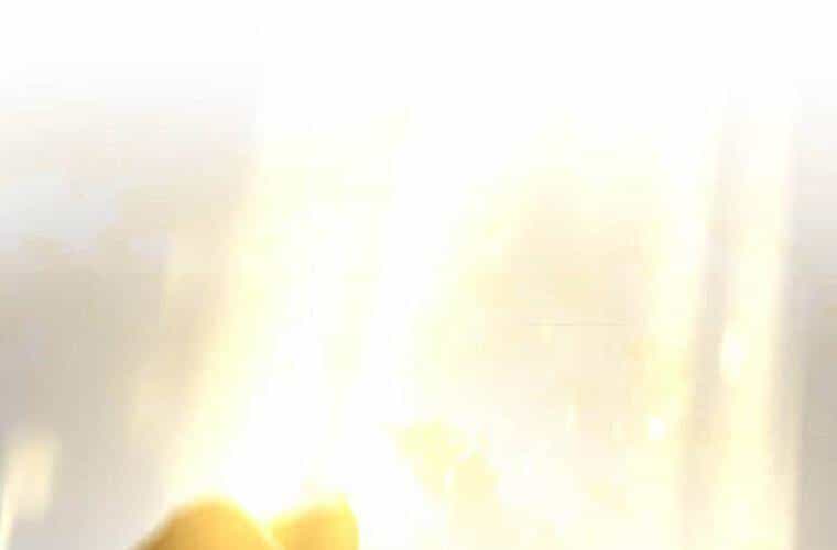 Mình Tao Là Siêu Việt Giả Mạnh Nhất! - Chương 25 - ảnh 212
