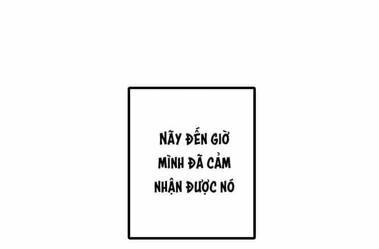 Mình Tao Là Siêu Việt Giả Mạnh Nhất! - Chương 25 - ảnh 251