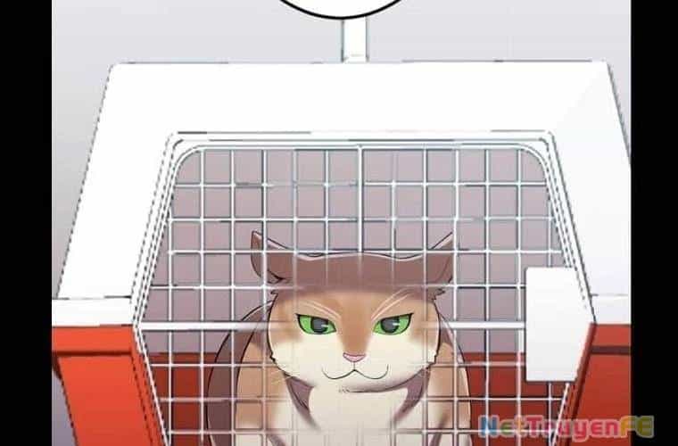 Mình Tao Là Siêu Việt Giả Mạnh Nhất! - Chương 27 - ảnh 147