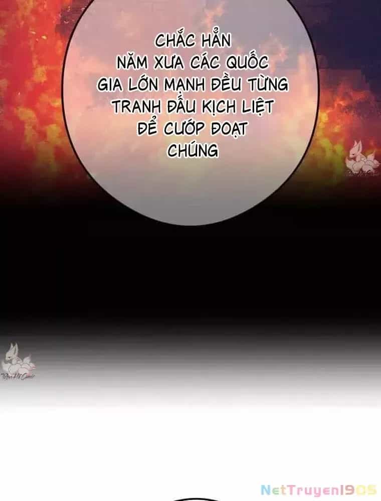 Mình Tao Là Siêu Việt Giả Mạnh Nhất! - Chương 63 - ảnh 31