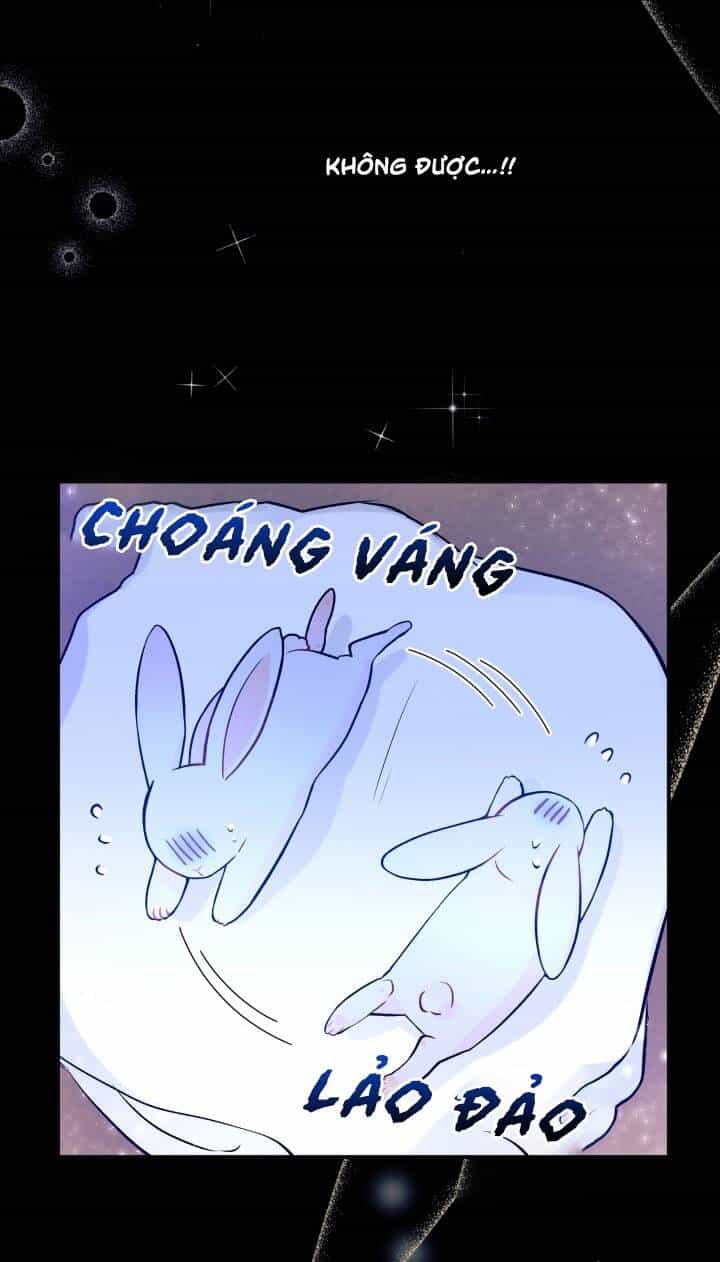 Mối Liên Kết Giữa Báo Đen Và Bé Thỏ - Chương 1 - ảnh 19