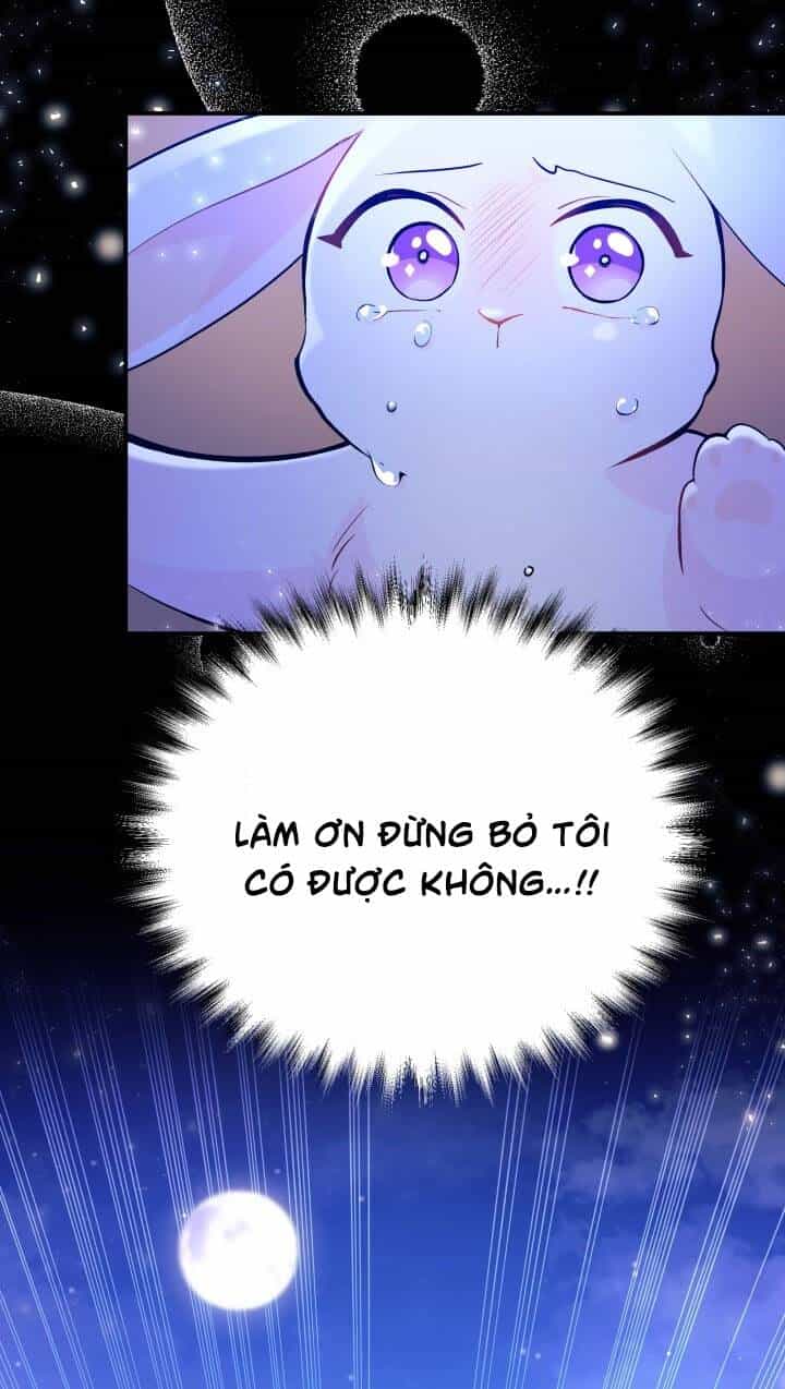 Mối Liên Kết Giữa Báo Đen Và Bé Thỏ - Chương 1 - ảnh 22