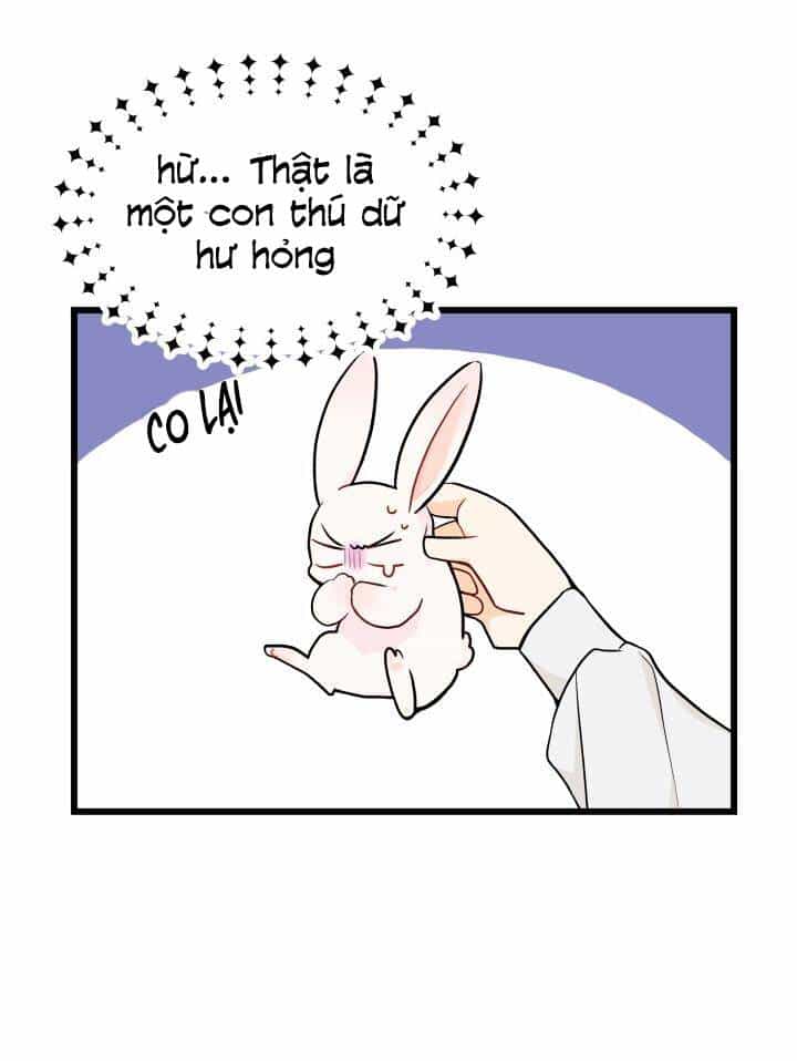 Mối Liên Kết Giữa Báo Đen Và Bé Thỏ - Chương 10 - ảnh 36
