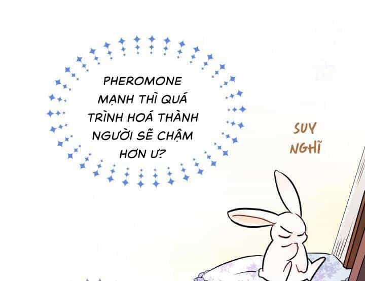 Mối Liên Kết Giữa Báo Đen Và Bé Thỏ - Chương 13 - ảnh 37