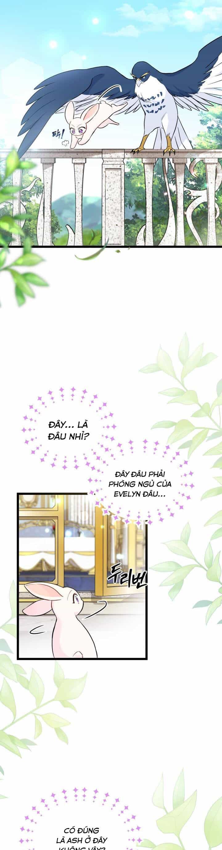 Mối Liên Kết Giữa Báo Đen Và Bé Thỏ - Chương 134 - ảnh 2