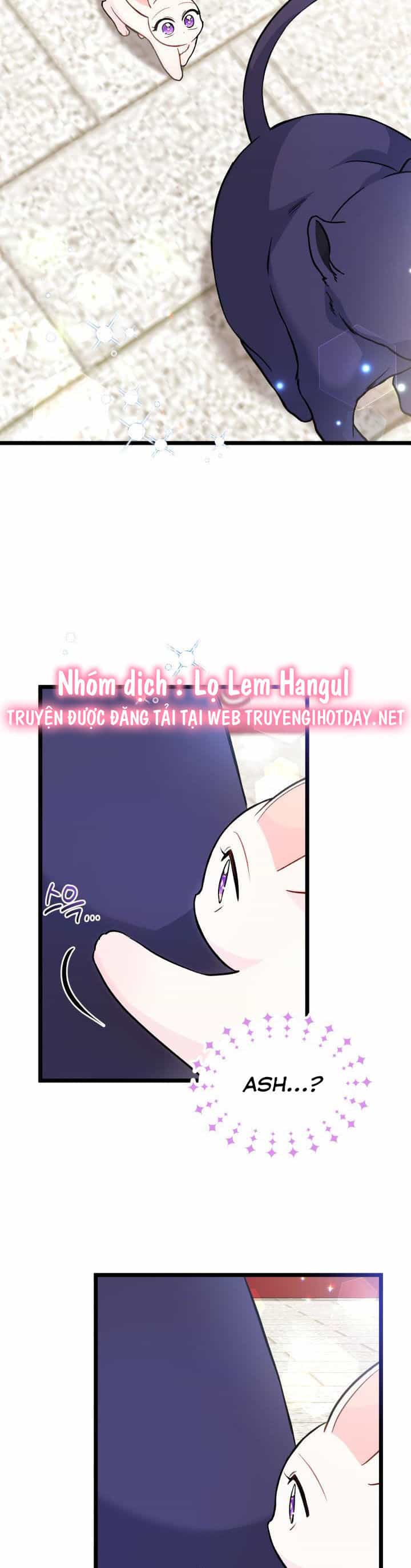 Mối Liên Kết Giữa Báo Đen Và Bé Thỏ - Chương 134 - ảnh 31