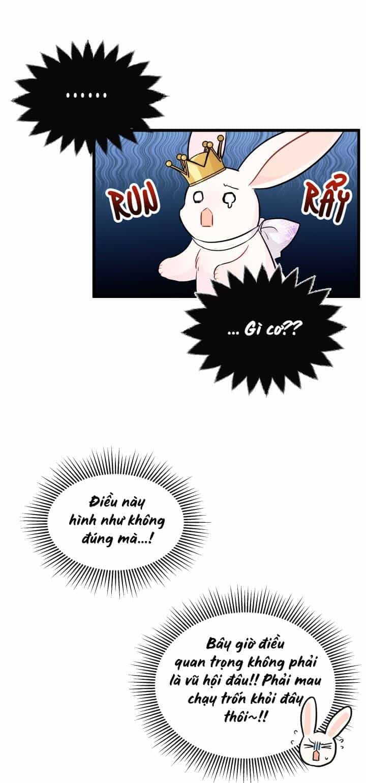 Mối Liên Kết Giữa Báo Đen Và Bé Thỏ - Chương 17 - ảnh 22