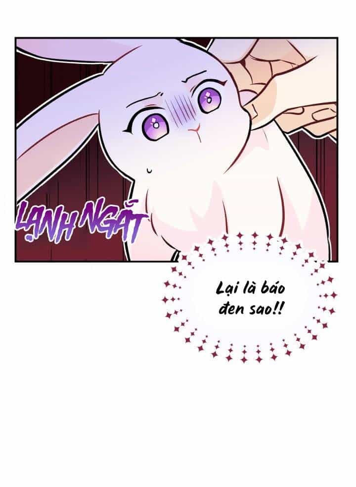 Mối Liên Kết Giữa Báo Đen Và Bé Thỏ - Chương 2 - ảnh 20