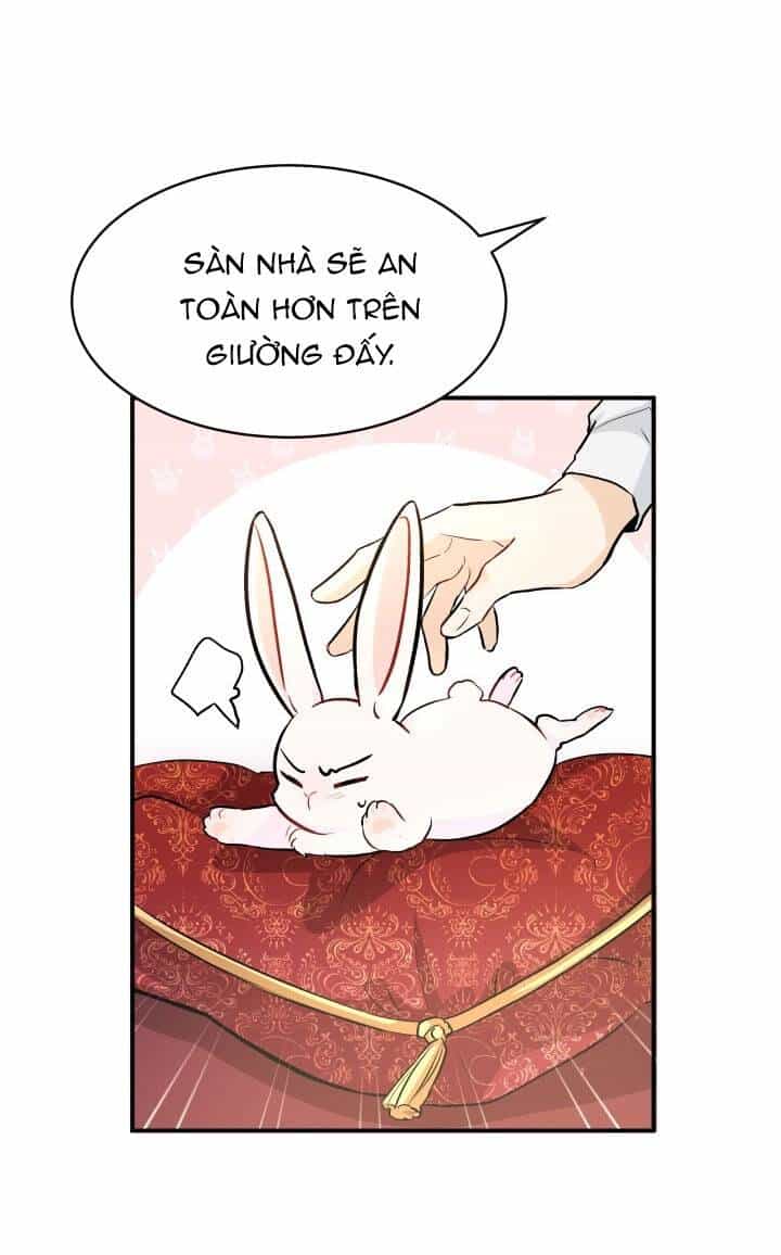 Mối Liên Kết Giữa Báo Đen Và Bé Thỏ - Chương 2 - ảnh 22