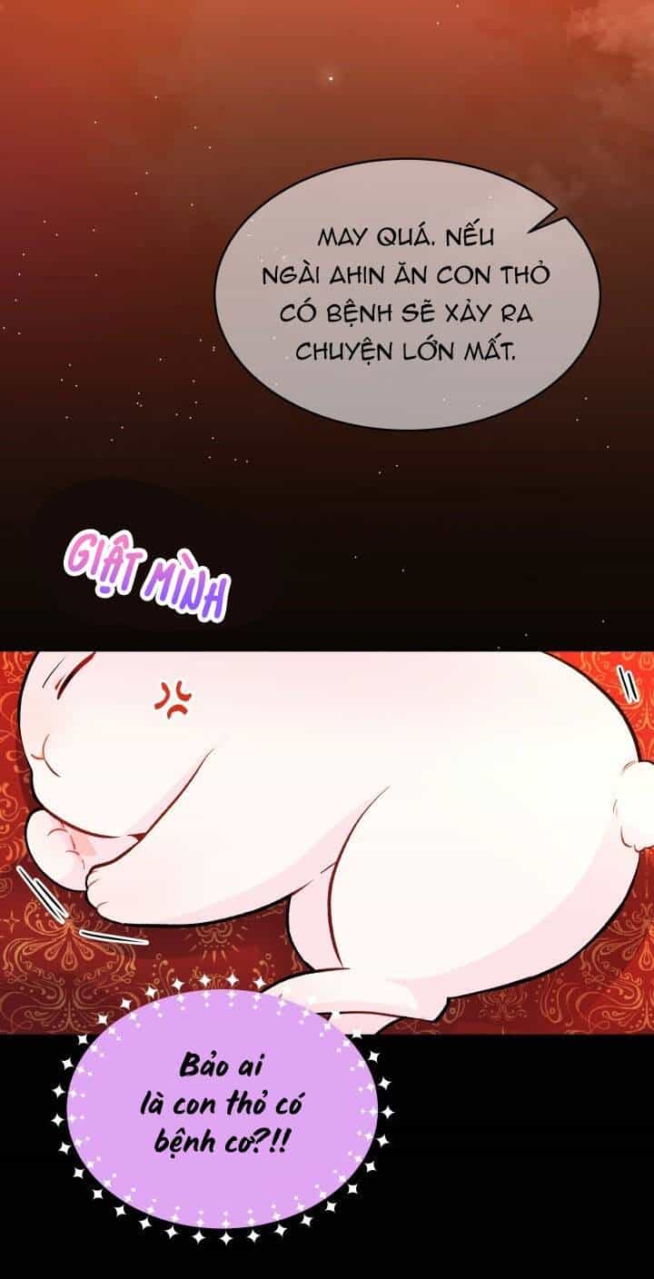 Mối Liên Kết Giữa Báo Đen Và Bé Thỏ - Chương 2 - ảnh 32