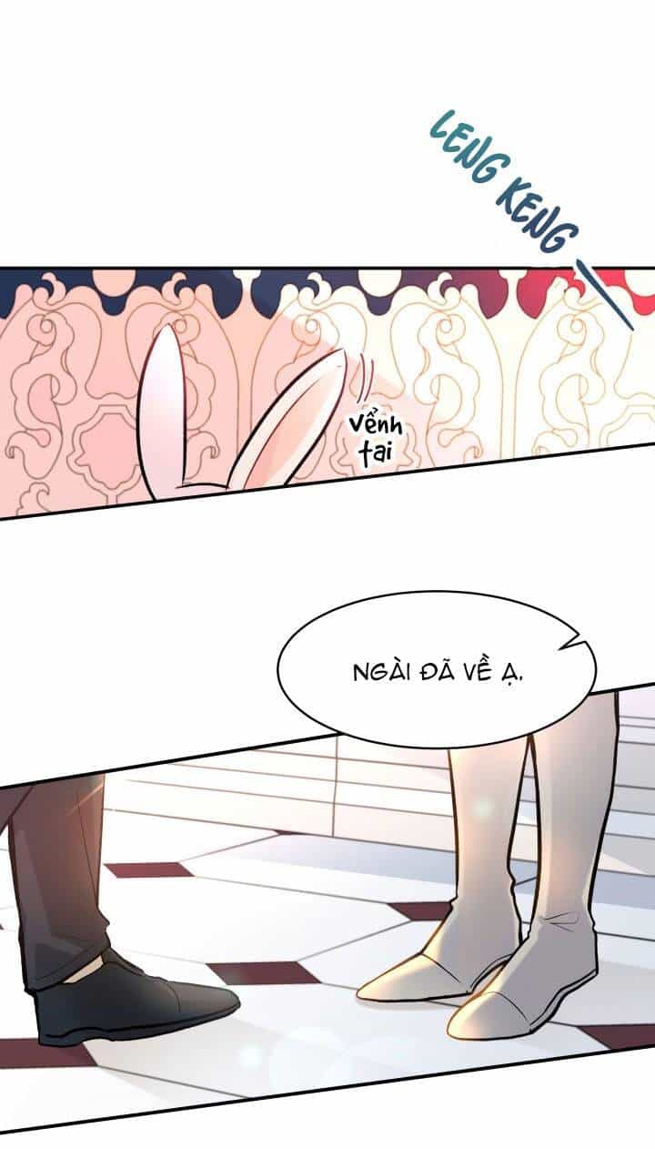 Mối Liên Kết Giữa Báo Đen Và Bé Thỏ - Chương 2 - ảnh 52
