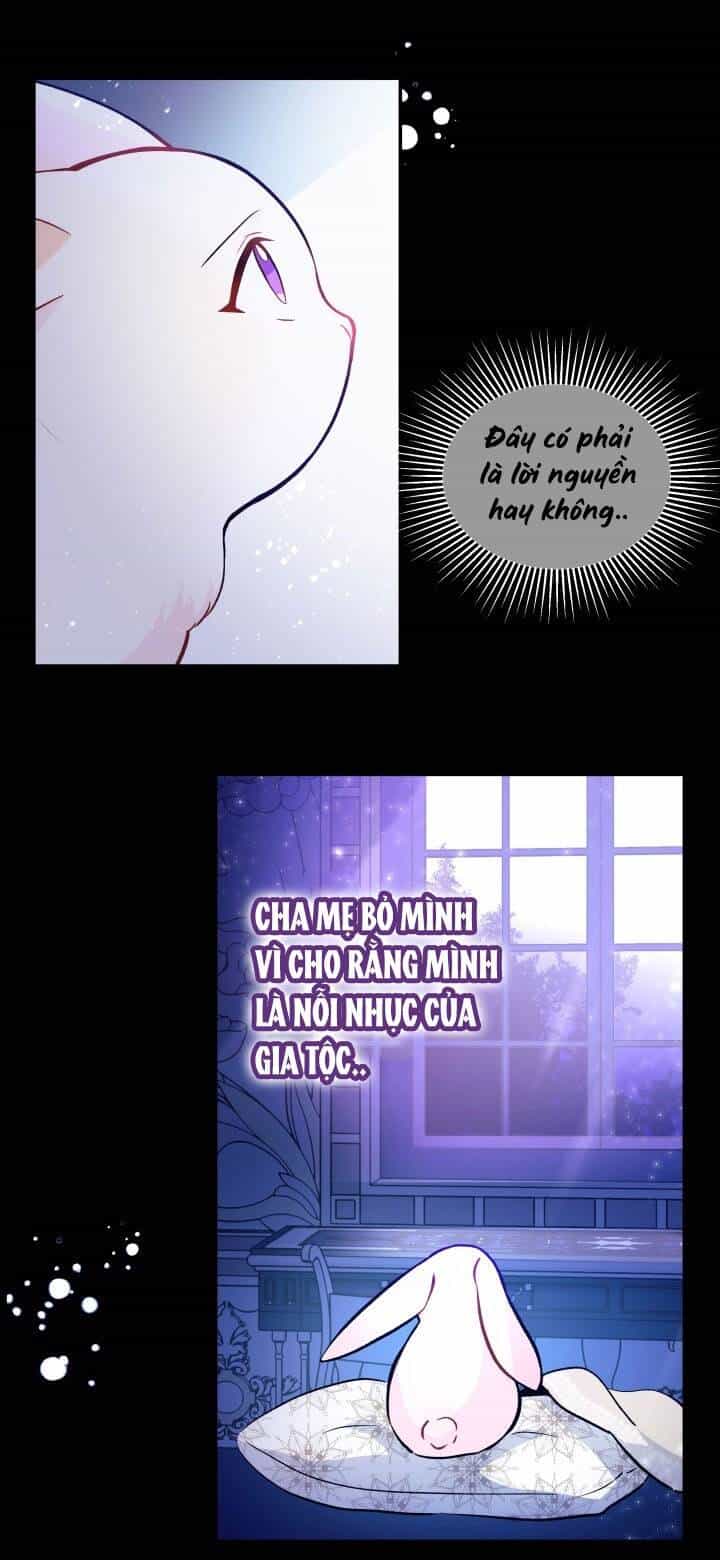 Mối Liên Kết Giữa Báo Đen Và Bé Thỏ - Chương 2 - ảnh 76