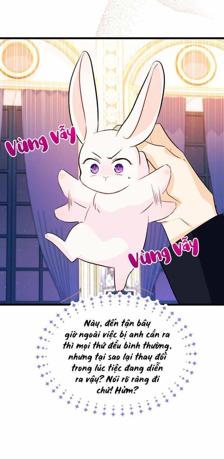 Mối Liên Kết Giữa Báo Đen Và Bé Thỏ - Chương 22 - ảnh 28