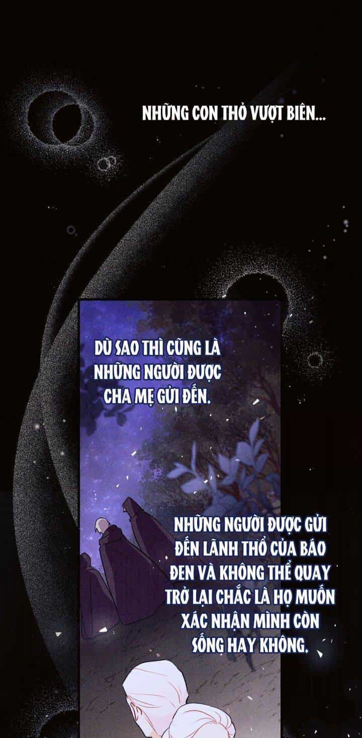 Mối Liên Kết Giữa Báo Đen Và Bé Thỏ - Chương 22 - ảnh 41