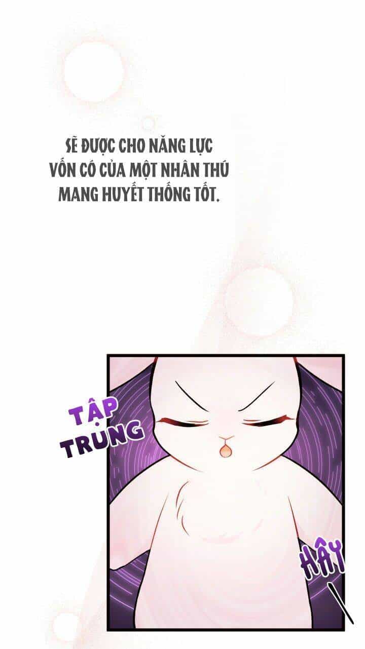 Mối Liên Kết Giữa Báo Đen Và Bé Thỏ - Chương 22 - ảnh 55