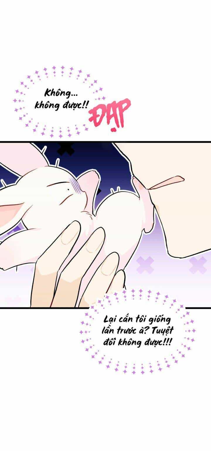 Mối Liên Kết Giữa Báo Đen Và Bé Thỏ - Chương 23 - ảnh 56