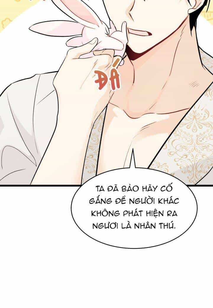Mối Liên Kết Giữa Báo Đen Và Bé Thỏ - Chương 23 - ảnh 59