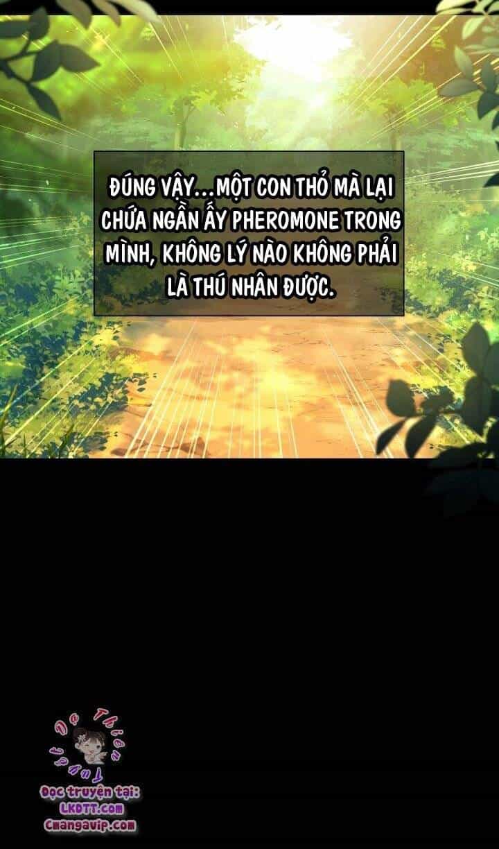 Mối Liên Kết Giữa Báo Đen Và Bé Thỏ - Chương 29 - ảnh 67