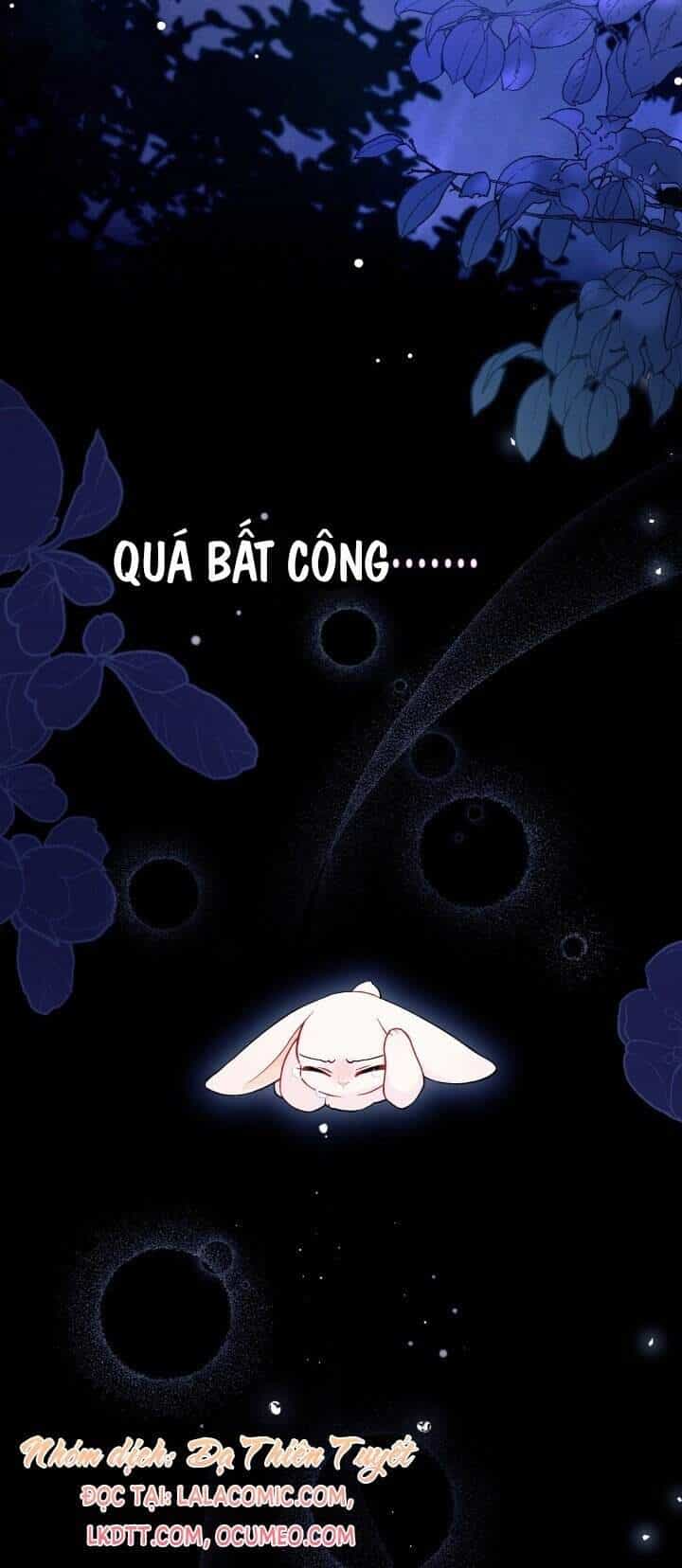 Mối Liên Kết Giữa Báo Đen Và Bé Thỏ - Chương 39 - ảnh 20