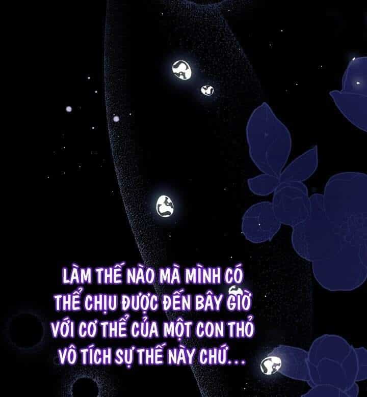 Mối Liên Kết Giữa Báo Đen Và Bé Thỏ - Chương 39 - ảnh 21