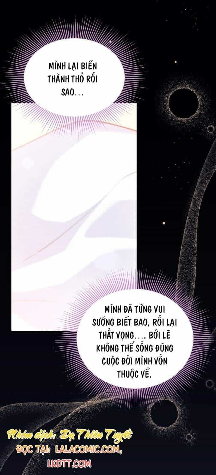 Mối Liên Kết Giữa Báo Đen Và Bé Thỏ - Chương 41 - ảnh 11