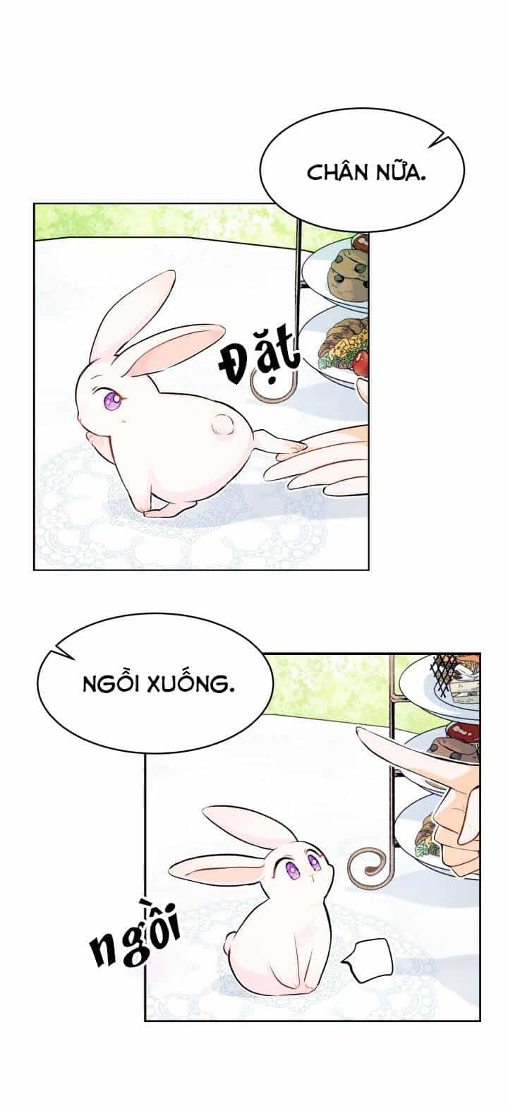 Mối Liên Kết Giữa Báo Đen Và Bé Thỏ - Chương 5 - ảnh 17
