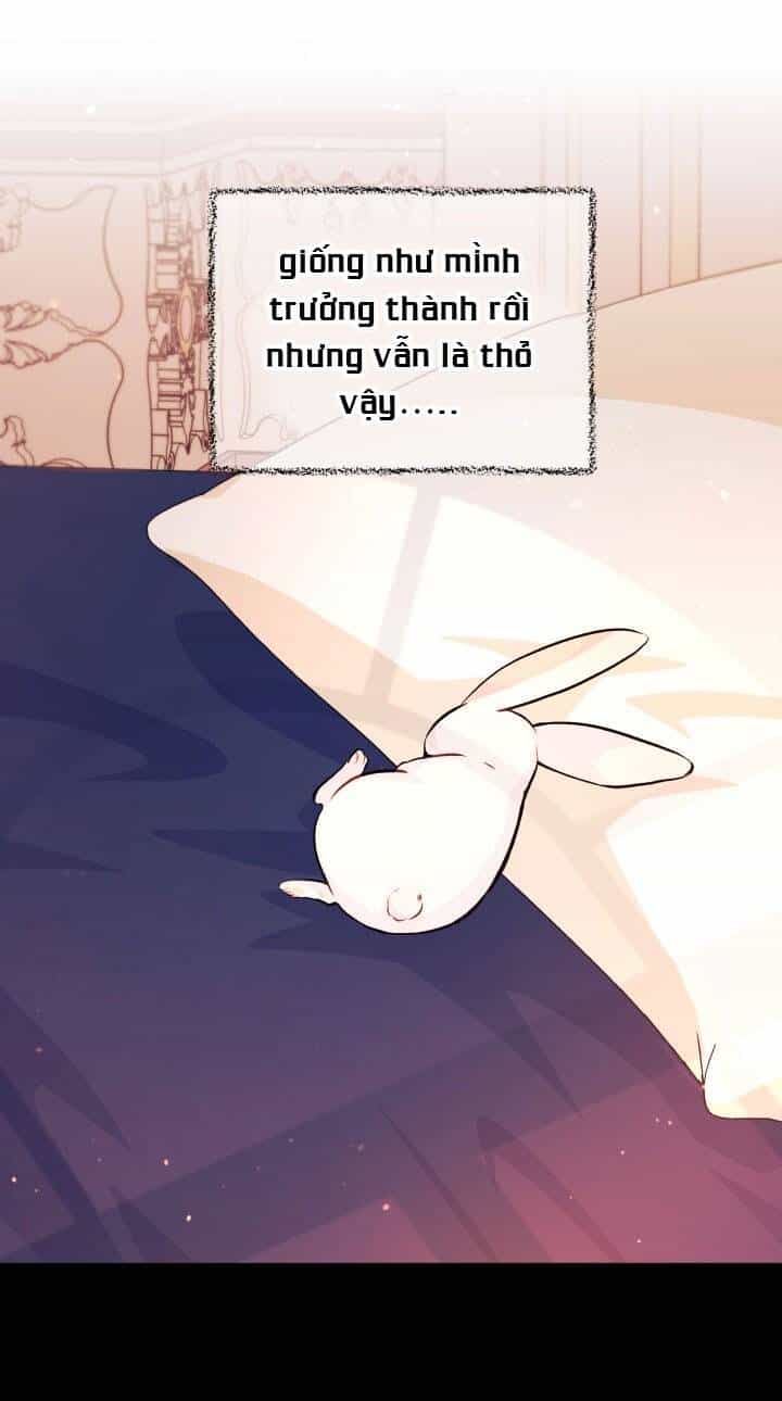 Mối Liên Kết Giữa Báo Đen Và Bé Thỏ - Chương 5 - ảnh 43