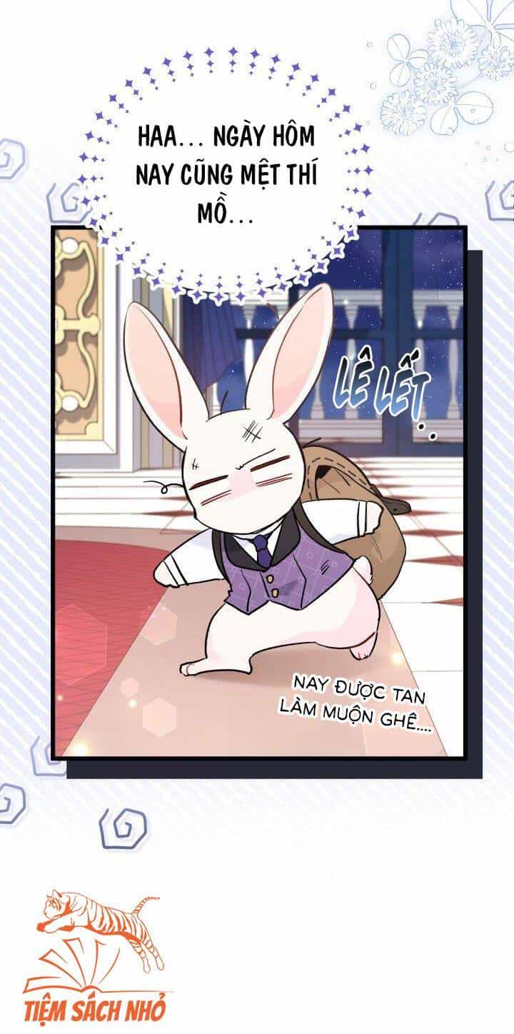 Mối Liên Kết Giữa Báo Đen Và Bé Thỏ - Chương 57 - ảnh 3