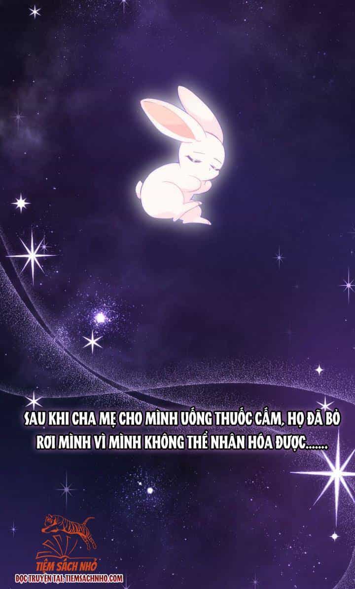 Mối Liên Kết Giữa Báo Đen Và Bé Thỏ - Chương 59 - ảnh 3
