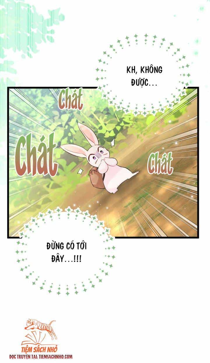 Mối Liên Kết Giữa Báo Đen Và Bé Thỏ - Chương 61 - ảnh 64