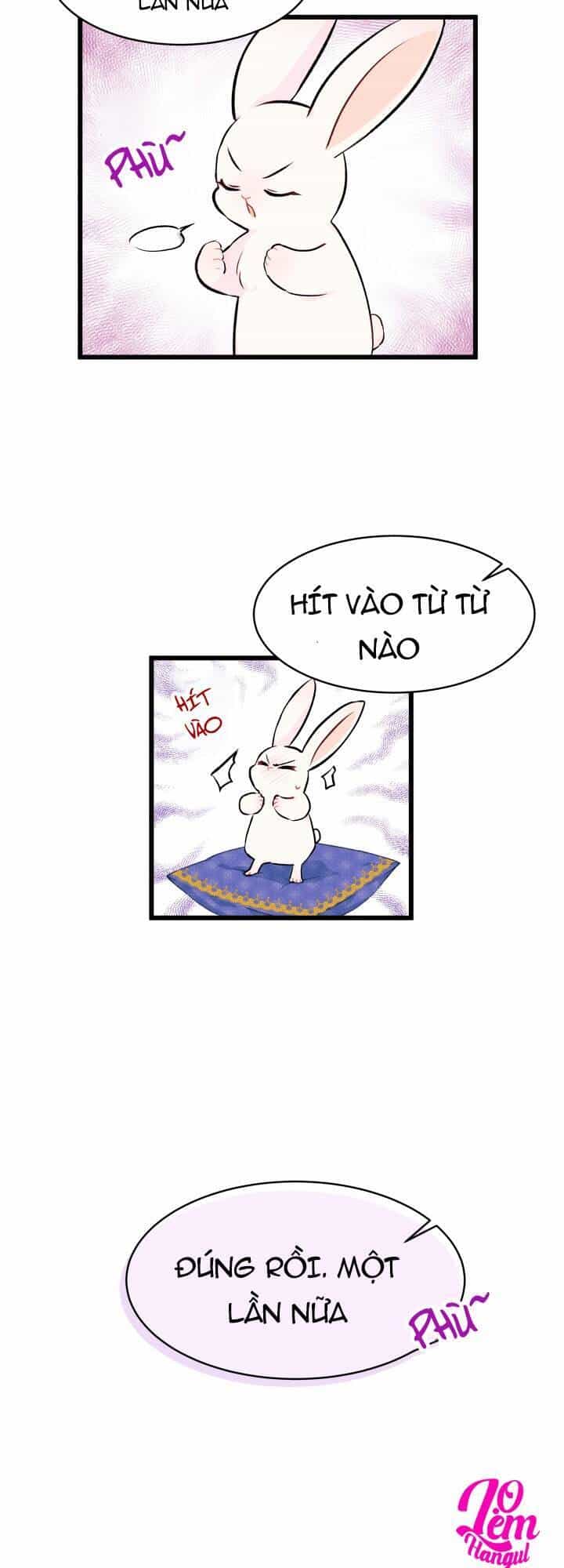 Mối Liên Kết Giữa Báo Đen Và Bé Thỏ - Chương 8 - ảnh 6