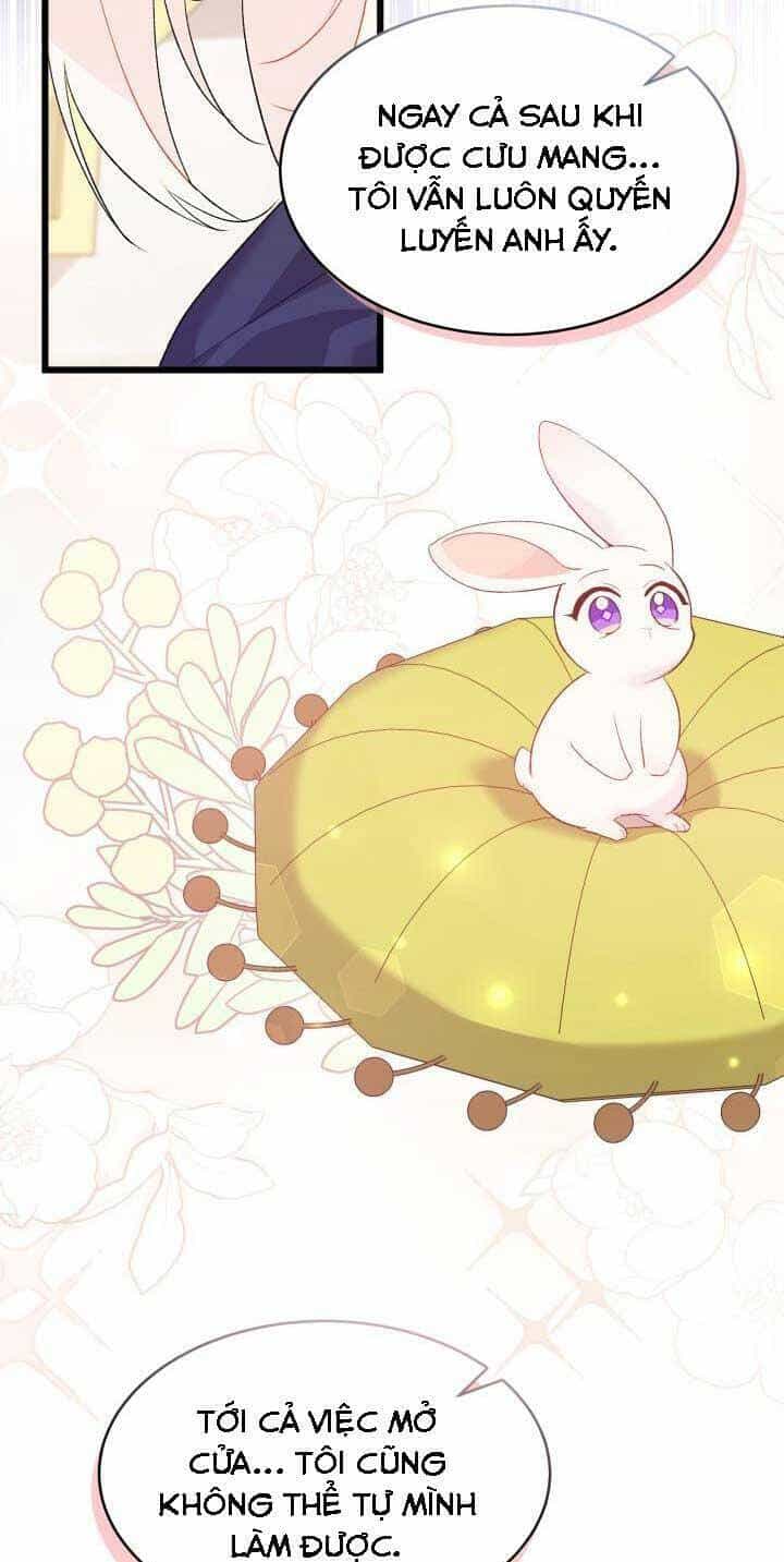 Mối Liên Kết Giữa Báo Đen Và Bé Thỏ - Chương 78 - ảnh 29