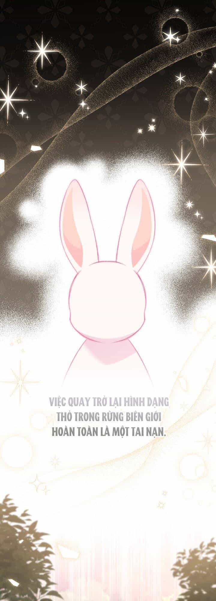 Mối Liên Kết Giữa Báo Đen Và Bé Thỏ - Chương 82 - ảnh 2