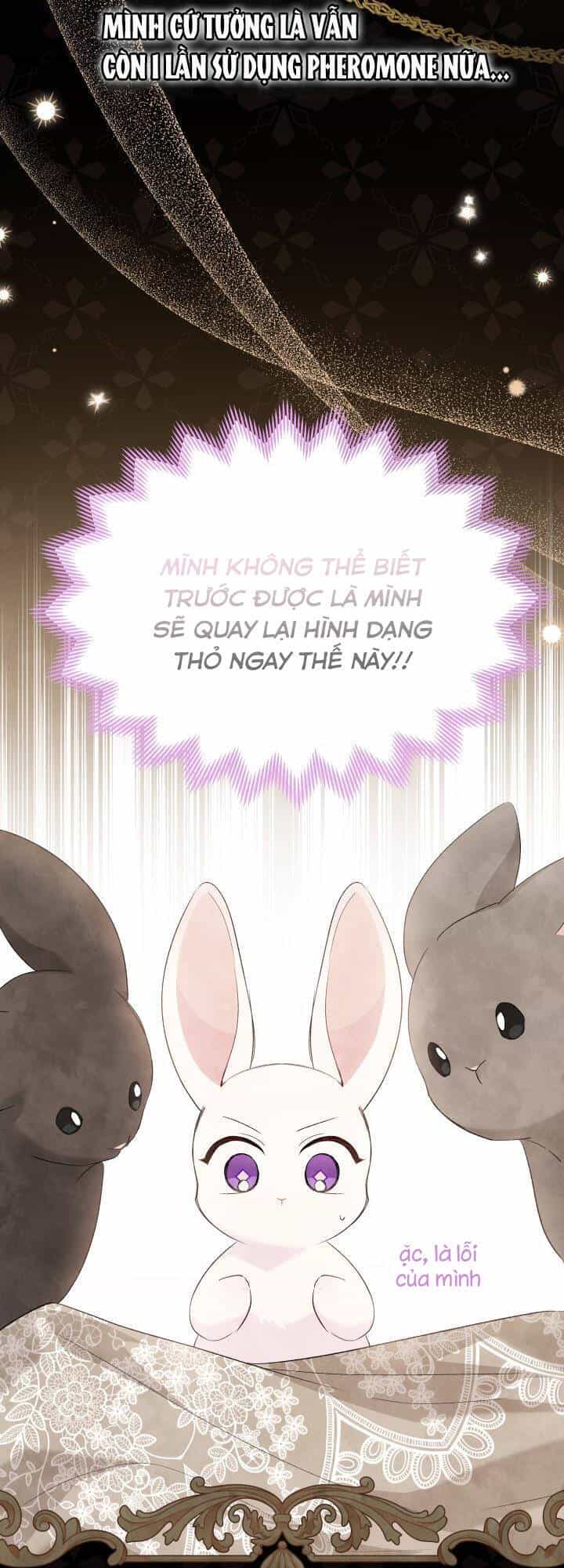 Mối Liên Kết Giữa Báo Đen Và Bé Thỏ - Chương 82 - ảnh 7