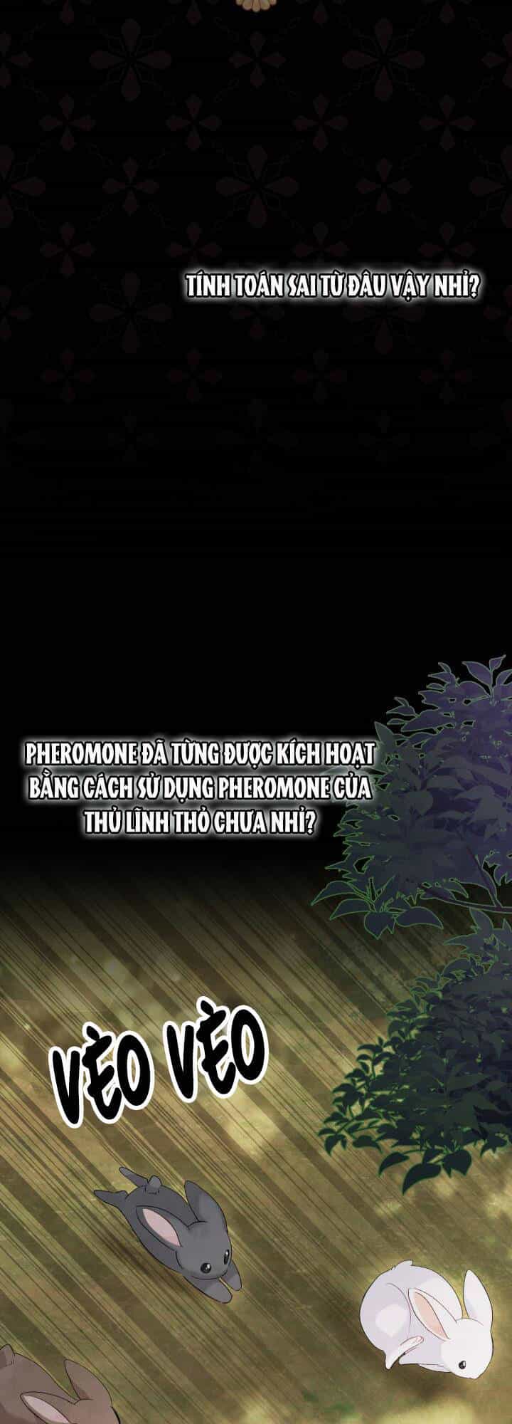 Mối Liên Kết Giữa Báo Đen Và Bé Thỏ - Chương 82 - ảnh 8
